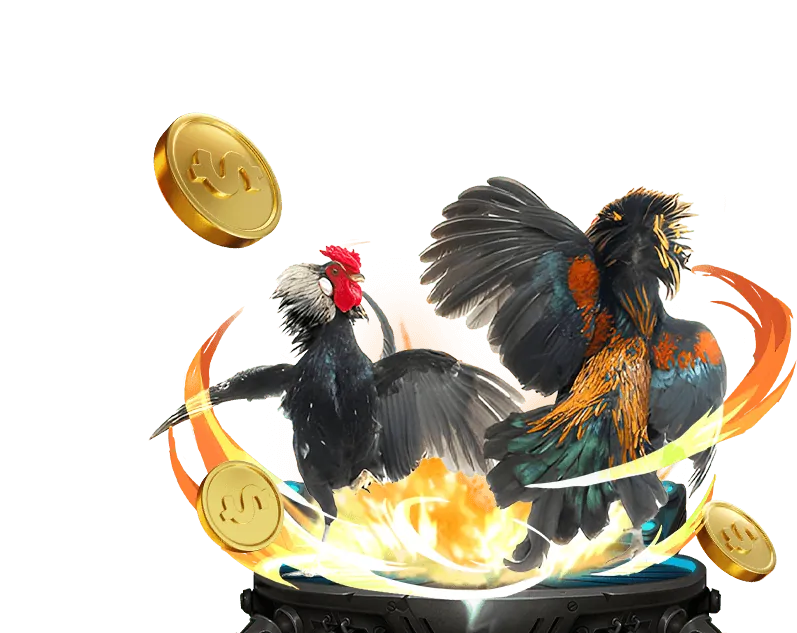 Quy tắc chơi Baccarat